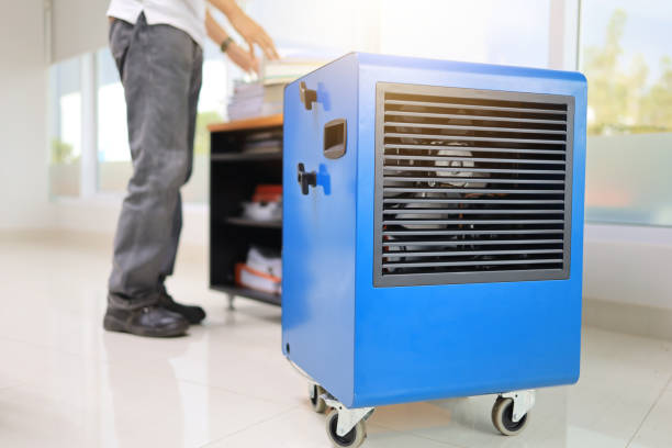 Best Industrial Mold Remediation  in Valle Vista, AZ