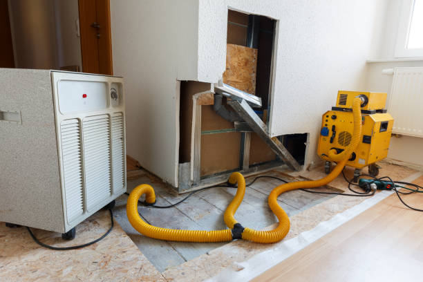 Best Biohazard Mold Removal  in Valle Vista, AZ