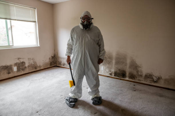 Best Mold Remediation for Healthcare Facilities  in Valle Vista, AZ